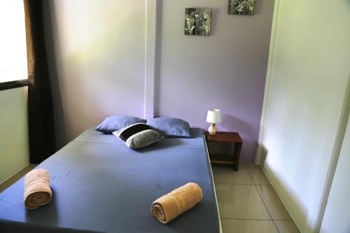 a bed in a room with two pillows on it at Hotel & Cabinas Nadine in Cahuita