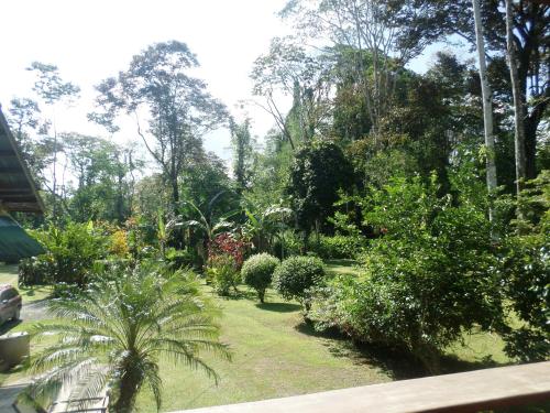 a garden with plants and trees and a fence at Hotel & Cabinas Nadine in Cahuita