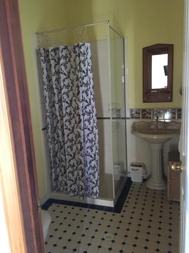 a bathroom with a shower and a sink at RoseMoore Bed & Breakfast in Perth
