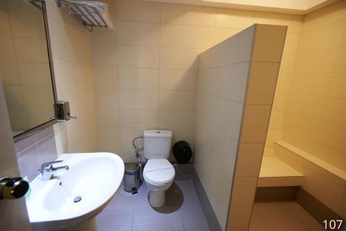 a bathroom with a toilet and a sink at Atlantic Hotel in Athens