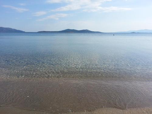 Φυσικό τοπίο κοντά σε αυτή η βίλα