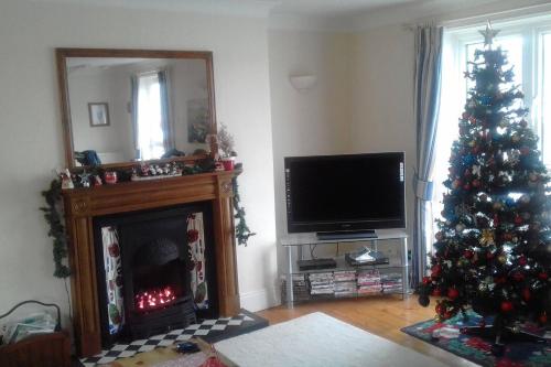 a living room with a christmas tree and a television at The Old Quayside House in Falmouth