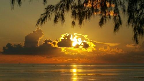 Marjoly Beach Resort – Photos 4