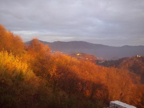 a view of a valley with trees and mountains at B&B Terre e Colori in Sant'Olcese