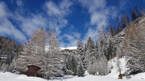 プレーグラーテンにあるChalet Seelenfriedenのギャラリーの写真