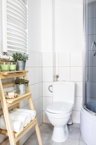 a bathroom with a toilet and a shower at Apartamenty KDN in Bielsko-Biała