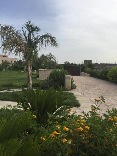 a garden with a palm tree and a sidewalk at Green space in Giurdignano
