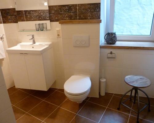 a bathroom with a toilet and a sink and a window at Melcher`s in Bernkastel-Kues