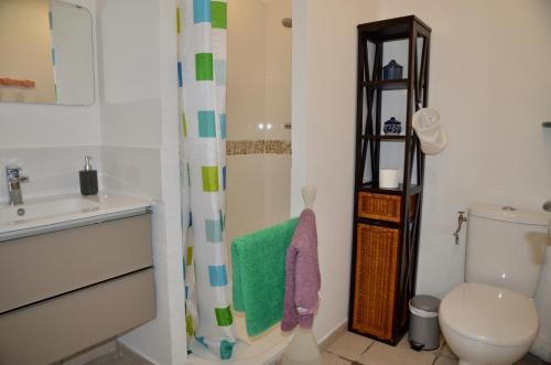 y baño con aseo y cortina de ducha. en Chambre indépendante dans une villa, en Saint-Trojan-les-Bains