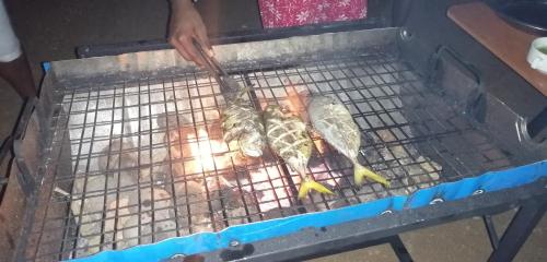 Barbacoa disponible para clientes en el hostal o pensión