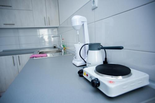 a kitchen counter with a blender and a toaster at Vila Magdalena in Gevgelija