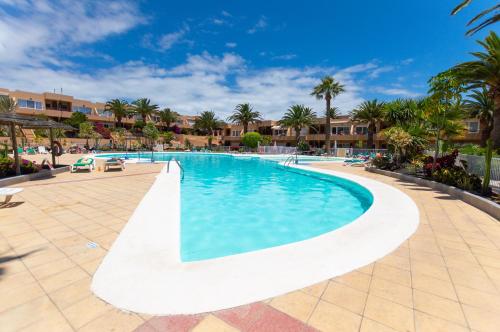 een zwembad op een resort met palmbomen bij PoolViewZen-CorralejoPlaya in Corralejo