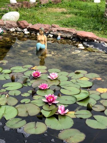Afbeelding uit fotogalerij van Haus Adams - das Wohlfühl Gästehaus in Boppard