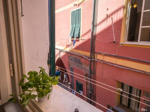 a plant sitting on a window sill next to a building at Rundanina Village Life Studio in Vernazza