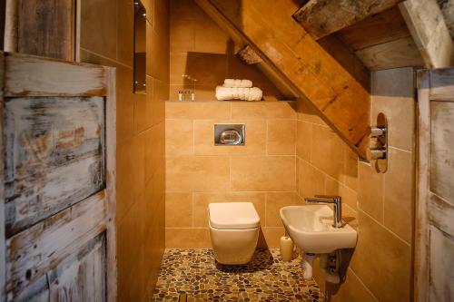 a bathroom with a toilet and a sink at The Cheese House, Gileston Manor in Gileston