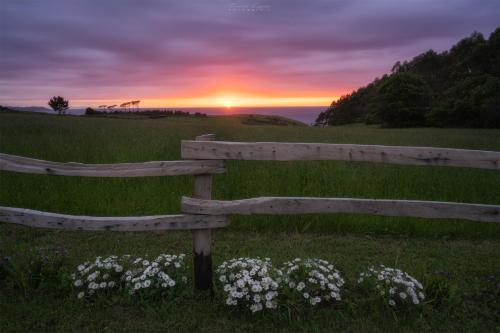 a wooden bench in a field with a sunset in the background at Hotel Rural La Sobreisla in Puerto de Vega