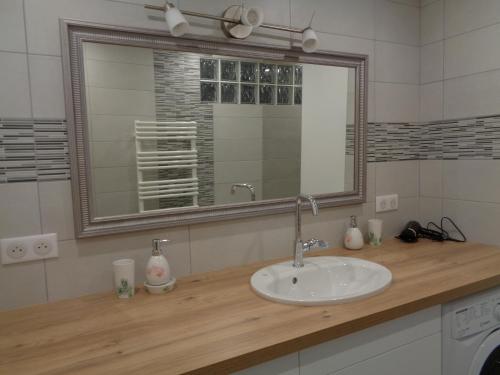 W łazience znajduje się umywalka i lustro. w obiekcie Appartement indépendant LE PANASSA, Centre ville, Garage privé w mieście Saint-Étienne