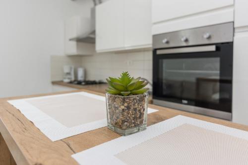 a plant in a vase sitting on a kitchen counter at Apartmani Jadranka in Starigrad-Paklenica