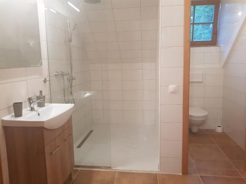 La salle de bains est pourvue d'un lavabo, d'une douche et de toilettes. dans l'établissement Turistična kmetija Kaloh, à Maribor