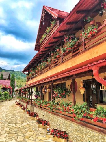 a building with potted plants on the side of it at Casa BOICO in Gura Humorului