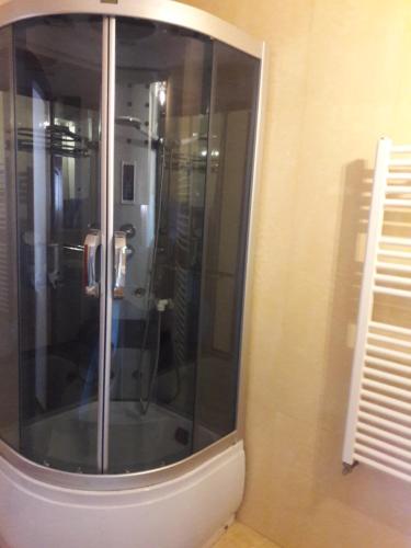 a glass shower in a bathroom next to a window at Casa DAOS in Nucşoara