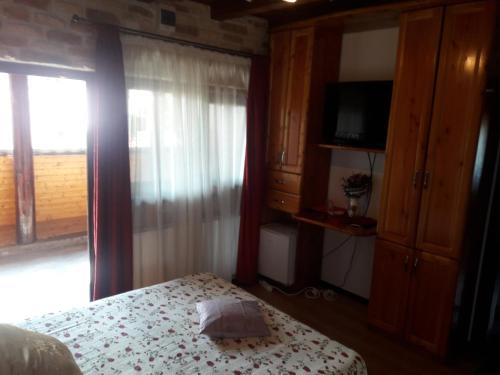 Schlafzimmer mit einem Bett, einem TV und einem Fenster in der Unterkunft Casa DAOS in Nucşoara