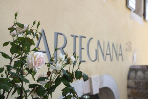 a plant with white flowers in front of a sign at B&B Artegnana 1798 in Grožnjan