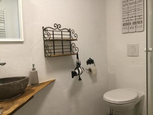 a bathroom with a sink and a toilet and a counter at Ferienwohnung Schug in Homburg