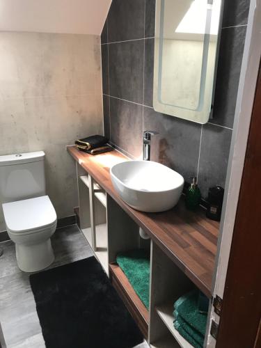 a bathroom with a sink and a toilet at Garfield Guesthouse in Dingwall