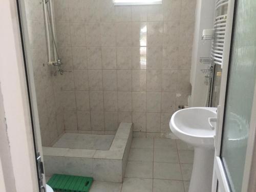 a bathroom with a shower with a sink and a toilet at Casa Cleopatra 2 MAI in 2 Mai