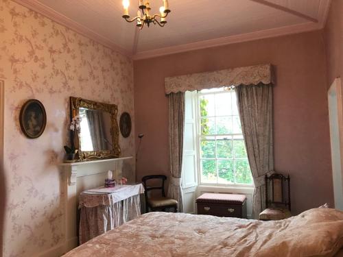 a bedroom with a bed and a mirror and a window at Newrath House X91 DK 4V in Waterford