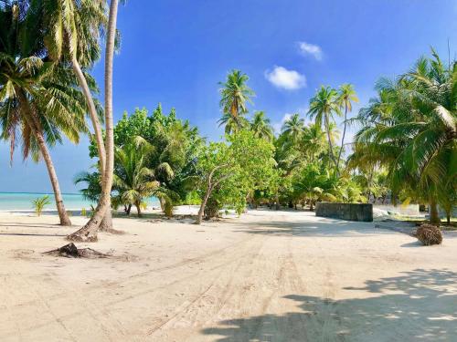 a sandy beach with palm trees and the ocean at Veli Beach Inn in Mathiveri