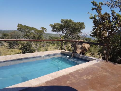 The swimming pool at or near Wild Ivory Eco Lodge