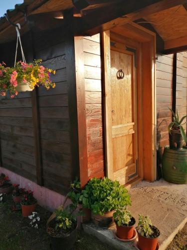 a group of potted plants sitting outside of a house at Vikendica RANKOVIĆI in Mokra Gora