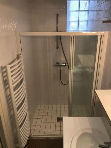 a bathroom with a shower and a toilet at Les Mésanges in Lamotte-Beuvron