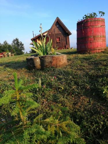 a house and a red barrel in a field at Vikendica RANKOVIĆI in Mokra Gora