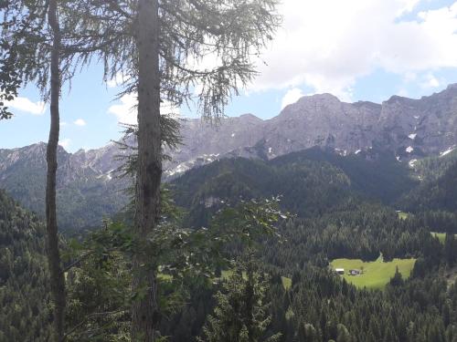 a view of a valley with mountains and trees at Casa Scalet in Fiera di Primiero