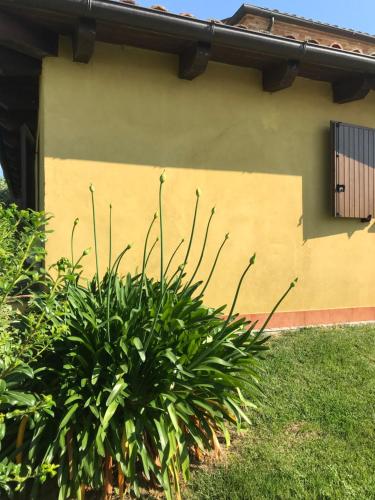 a plant in front of a house at B&B Casa Fanny Riviera Del Conero in Loreto