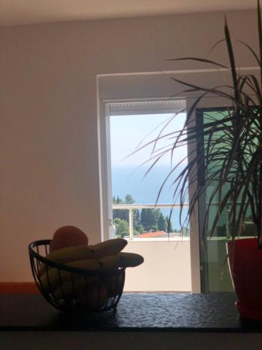 a bowl of fruit on a table in front of a window at Apartmani Dini in Ulcinj