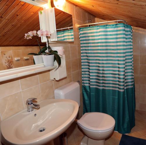a bathroom with a sink and a toilet and a shower at Apartment Leona in Pula