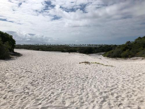 a beach with footprints in the sand and trees at Dunas Apart Refugio Completo a 1Km Praia de St Antonio in Diogo