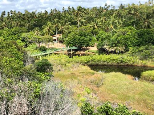 a bridge over a river in a field with trees at Dunas Apart Refugio Completo a 1Km Praia de St Antonio in Diogo
