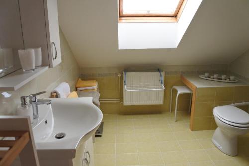 baño con lavabo y aseo y ventana en Apartma Vrh en Lesce