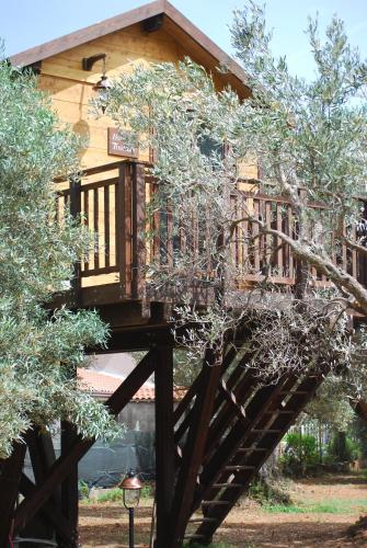 Palazzo Conforti Tree House Resortにある庭