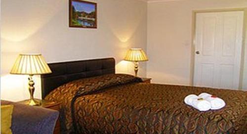 a hotel room with a bed and a lamp at Stannum Lodge Motor Inn in Stanthorpe