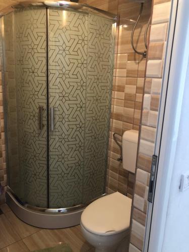 a bathroom with a shower with a toilet at Apartmani Dini in Ulcinj