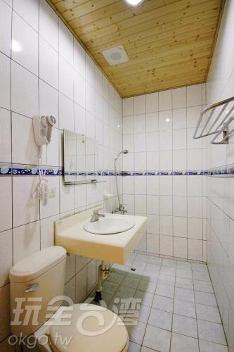 a bathroom with a sink and a toilet at 杏香紅民宿 in Ren'ai