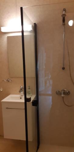 een badkamer met een douche en een wastafel bij Haukedalen Feriehus in Viksdalen