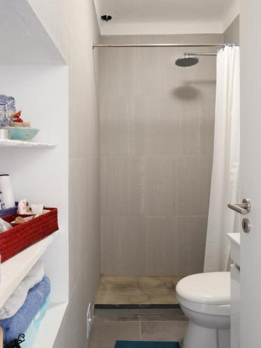 a bathroom with a shower and a toilet at Casa da Fonte / Fountain House in Monsaraz