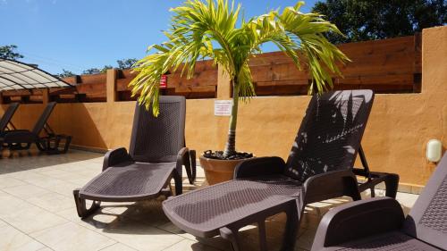 two chairs and a palm tree on a patio at Les Gites du Bonheur in Deshaies